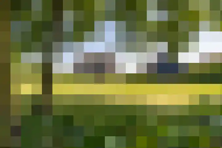 Kleindorpseweg 16 Wehl thumbnail 81