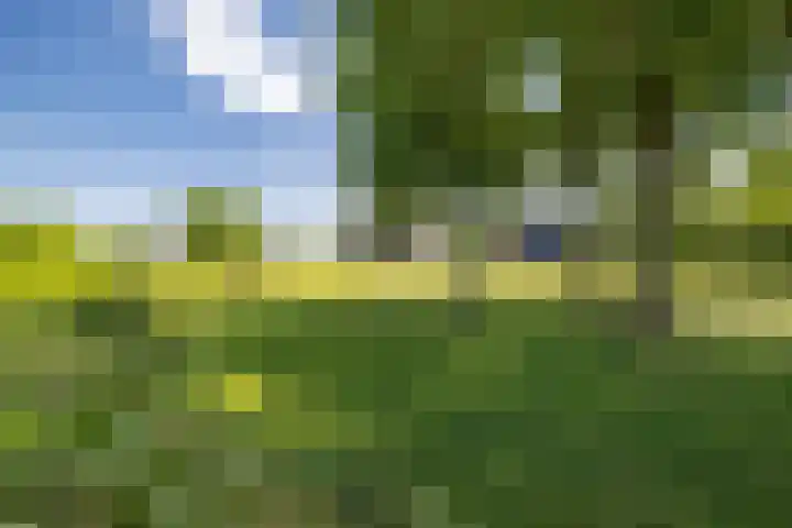 Kleindorpseweg 16 Wehl thumbnail 82