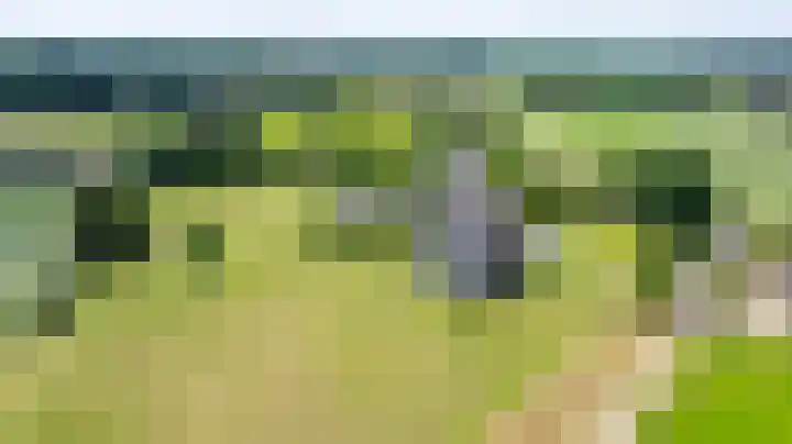 Kleindorpseweg 16 Wehl thumbnail 85