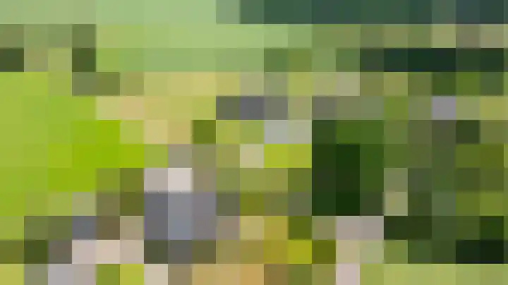 Kleindorpseweg 16 Wehl thumbnail 86