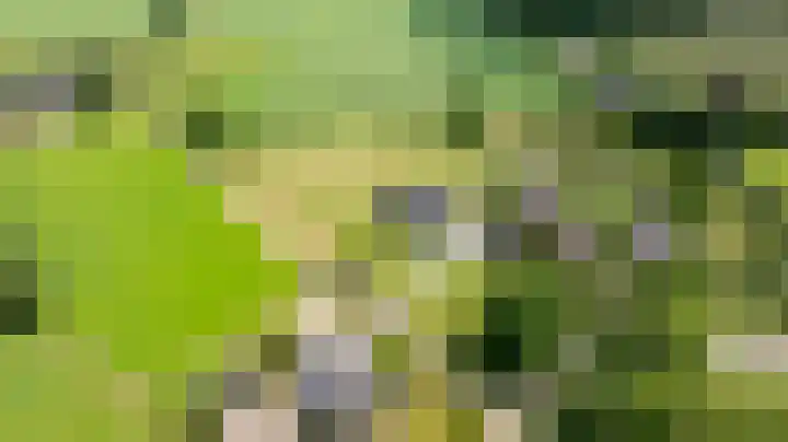 Kleindorpseweg 16 Wehl thumbnail 87