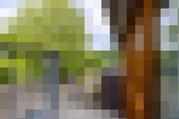 Kleindorpseweg 26 Wehl thumbnail 31