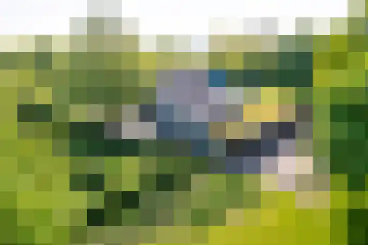 Kleindorpseweg 26 Wehl thumbnail 4