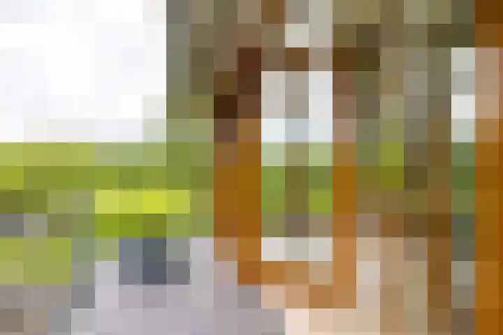 Kleindorpseweg 26 Wehl thumbnail 44