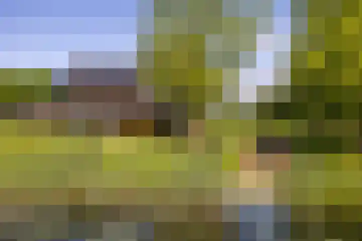 Kleindorpseweg 26 Wehl thumbnail 48