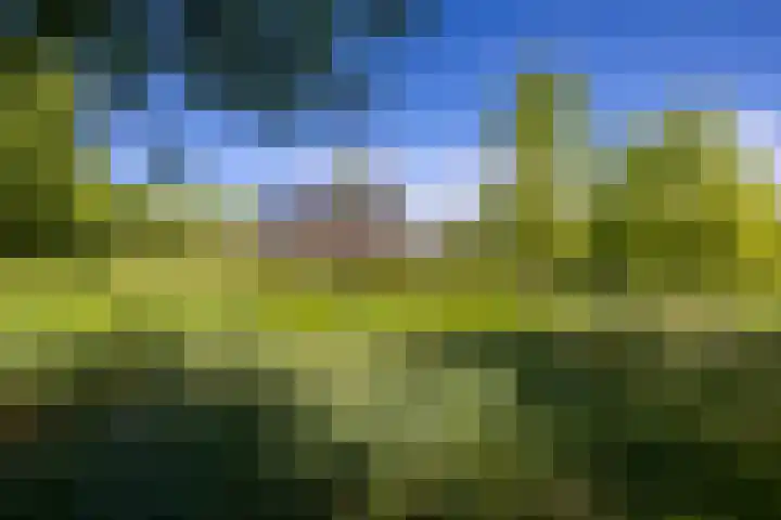 Kleindorpseweg 26 Wehl thumbnail 49