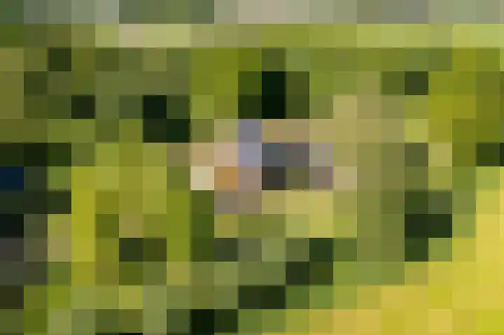 Kleindorpseweg 26 Wehl thumbnail 5