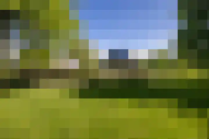 Kleindorpseweg 26 Wehl thumbnail 50