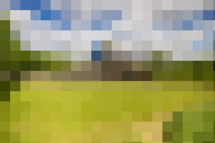 Kleindorpseweg 26 Wehl thumbnail 52
