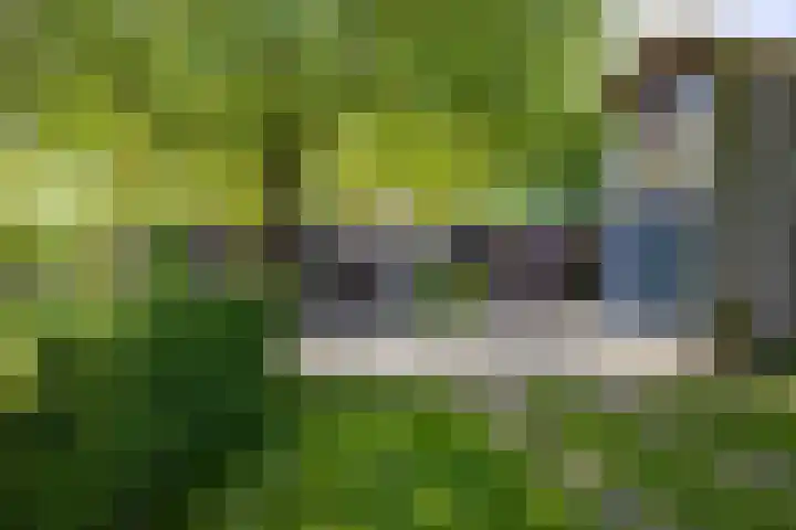Kleindorpseweg 26 Wehl thumbnail 57