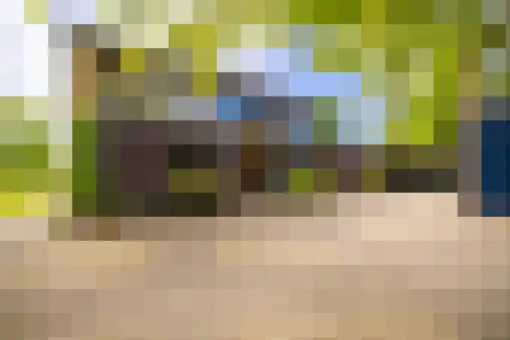 Kleindorpseweg 26 Wehl thumbnail 6