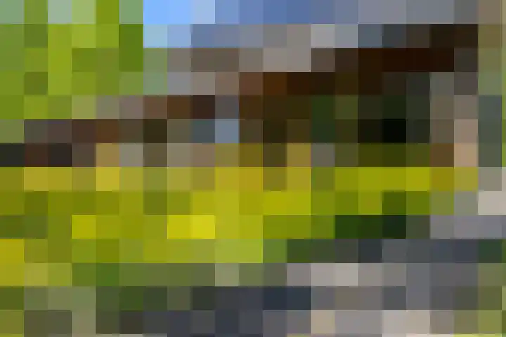 Kleindorpseweg 26 Wehl thumbnail 64