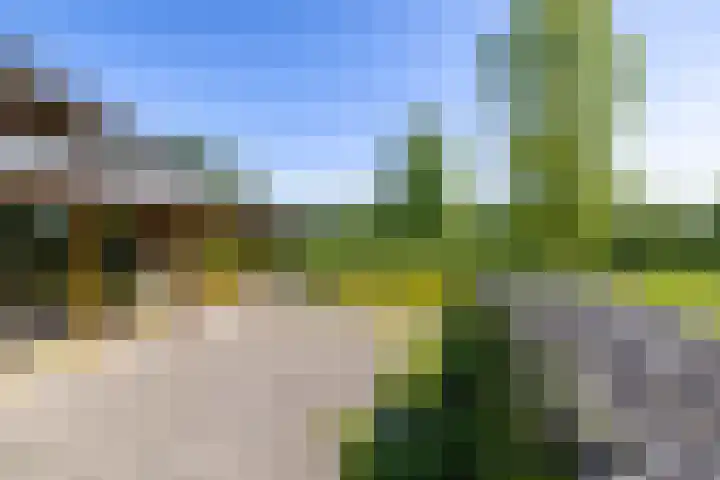 Kleindorpseweg 26 Wehl thumbnail 65