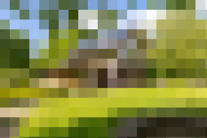 Kleindorpseweg 26 Wehl thumbnail 66