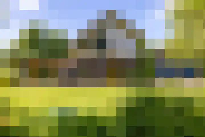 Kleindorpseweg 26 Wehl thumbnail 67