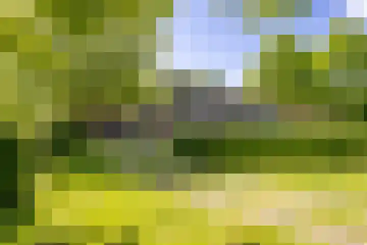 Kleindorpseweg 26 Wehl thumbnail 69