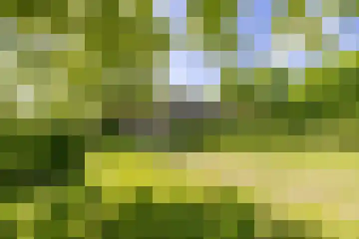Kleindorpseweg 26 Wehl thumbnail 71
