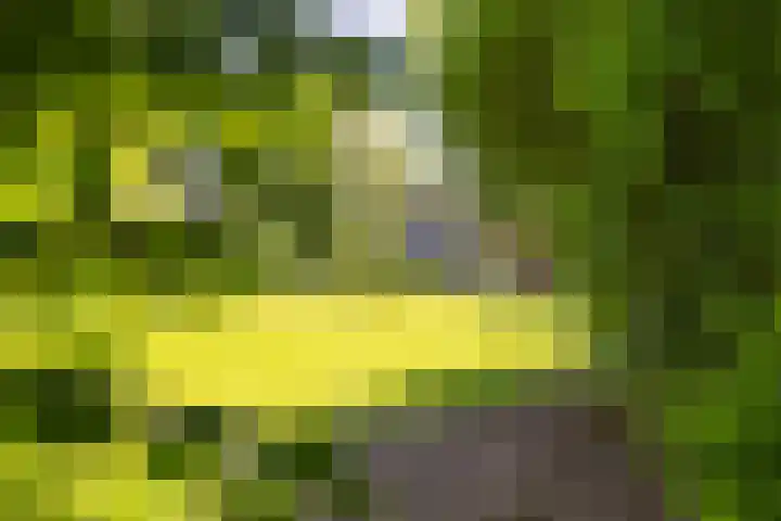 Kleindorpseweg 26 Wehl thumbnail 72