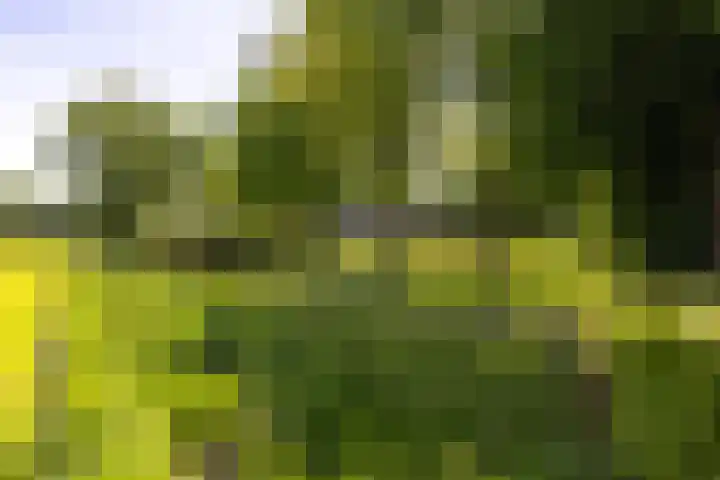 Kleindorpseweg 26 Wehl thumbnail 73