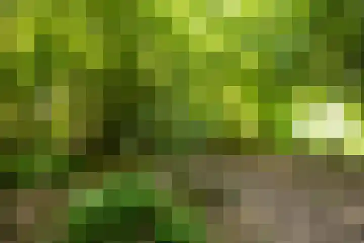 Kleindorpseweg 26 Wehl thumbnail 74