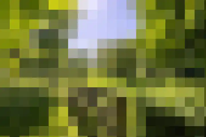 Kleindorpseweg 26 Wehl thumbnail 75