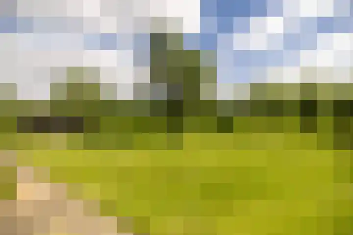 Kleindorpseweg 26 Wehl thumbnail 76
