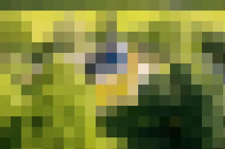 Kleindorpseweg 26 Wehl thumbnail 77