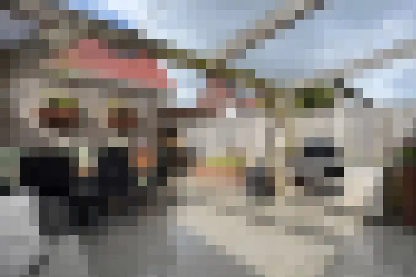 Kleine Amer 14 Willemstad thumbnail 52