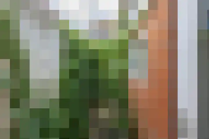 Kleine Appelstraat 13 Groningen thumbnail 18
