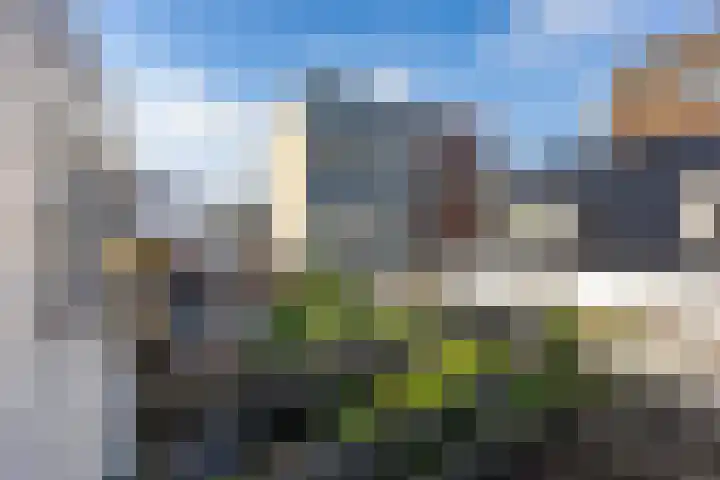 Kleine Appelstraat 13 Groningen thumbnail 28