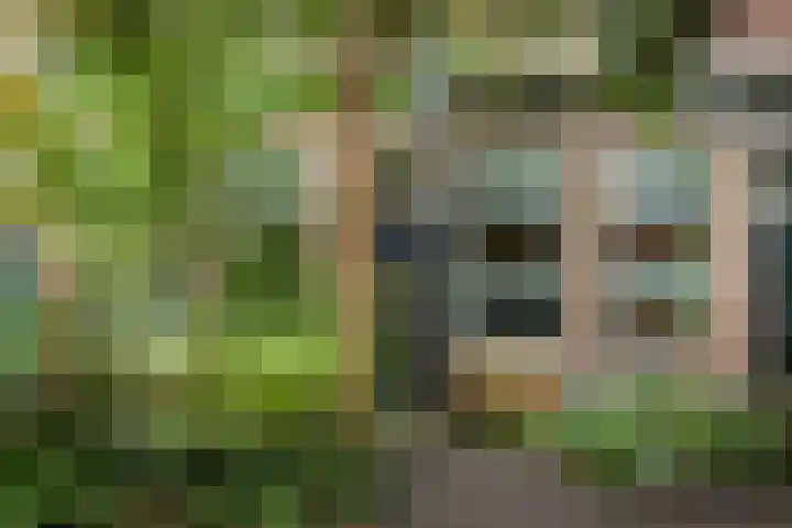 Kleine Appelstraat 13 Groningen thumbnail 31