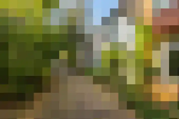 Kleine Appelstraat 13 Groningen thumbnail 32