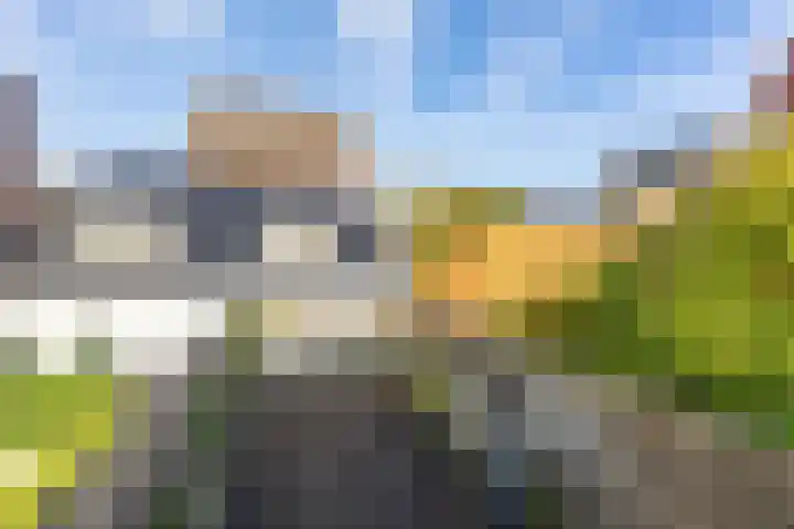 Kleine Appelstraat 13 Groningen thumbnail 4