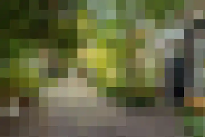 Kleine Appelstraat 13 Groningen thumbnail 6