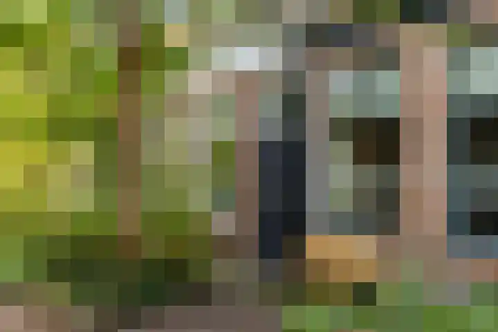 Kleine Appelstraat 13 Groningen thumbnail 7