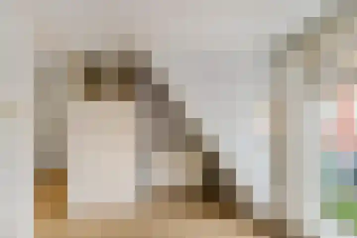 Kleine Appelstraat 18 Groningen thumbnail 10