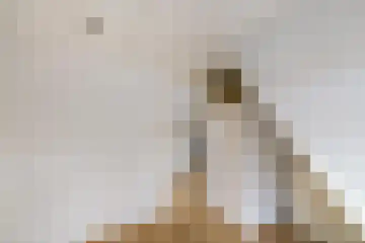 Kleine Appelstraat 18 Groningen thumbnail 11