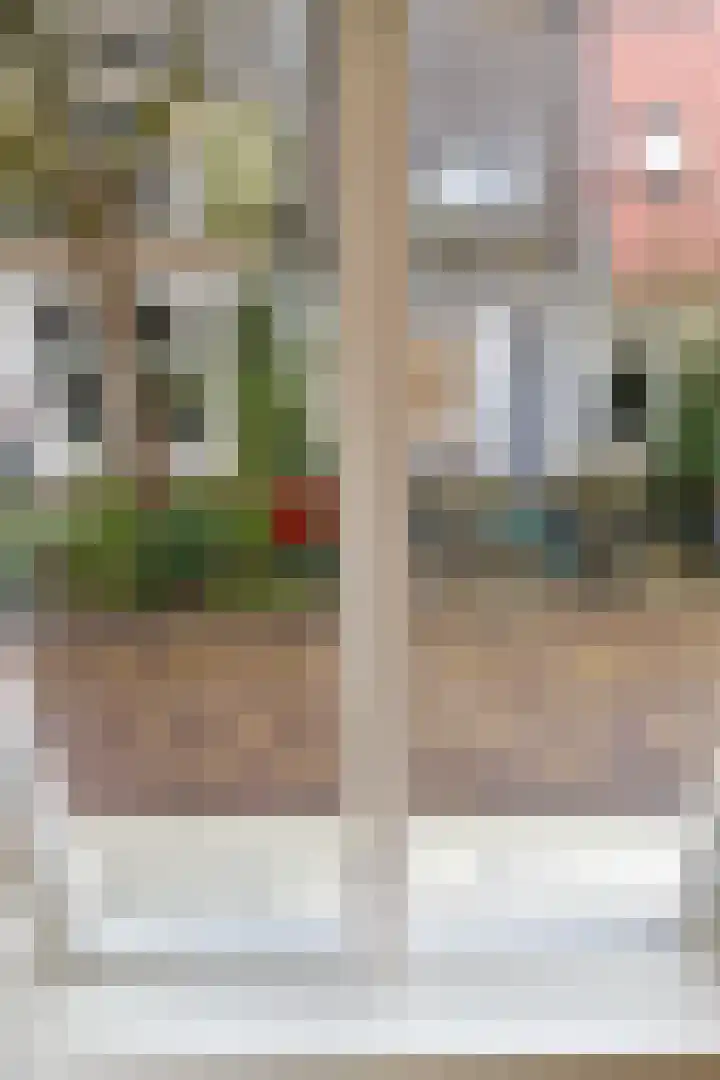 Kleine Appelstraat 18 Groningen thumbnail 12
