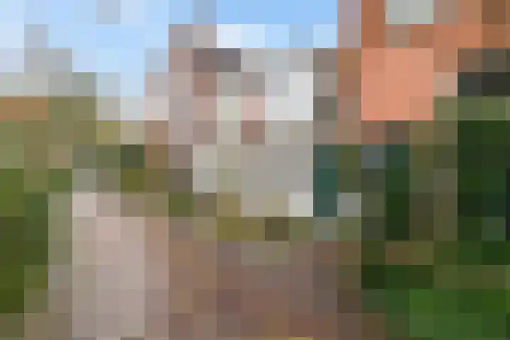 Kleine Appelstraat 18 Groningen thumbnail 13