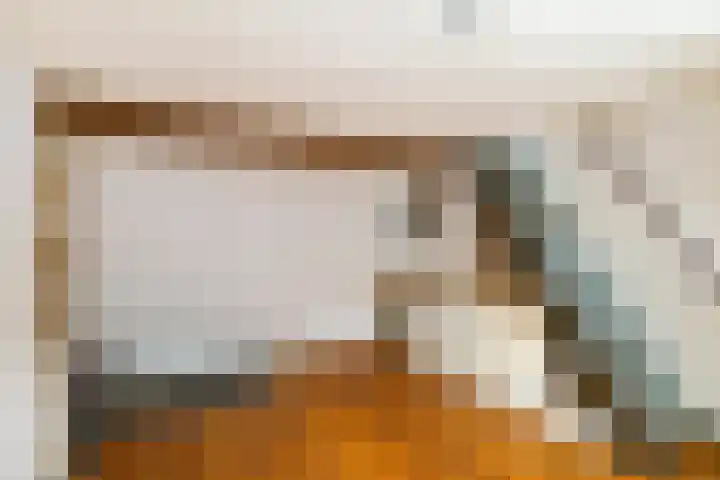 Kleine Appelstraat 18 Groningen thumbnail 6