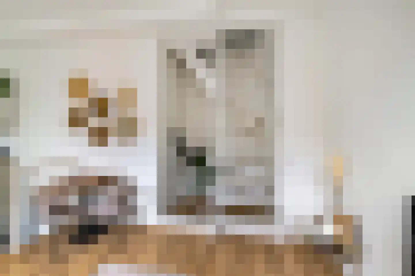 Kleine Appelstraat 22 Groningen thumbnail 14