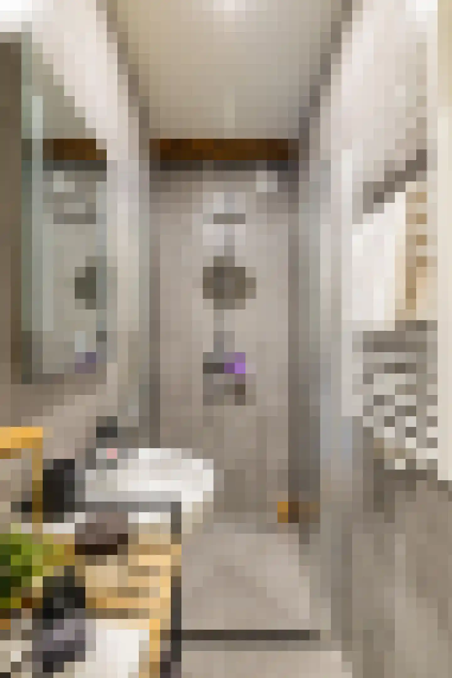 Kleine Appelstraat 22 Groningen thumbnail 16