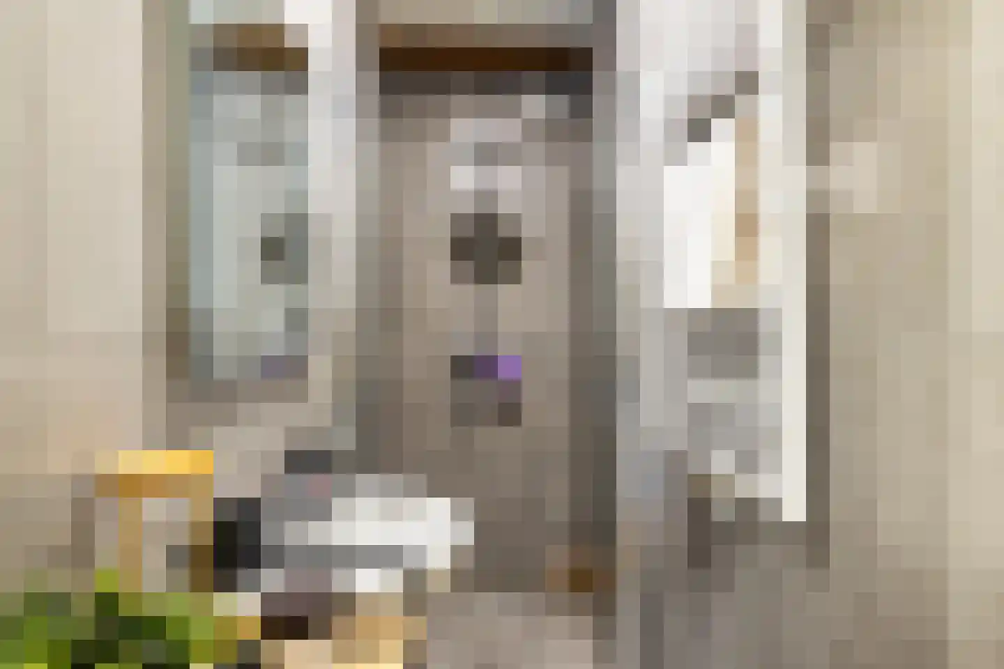 Kleine Appelstraat 22 Groningen thumbnail 17