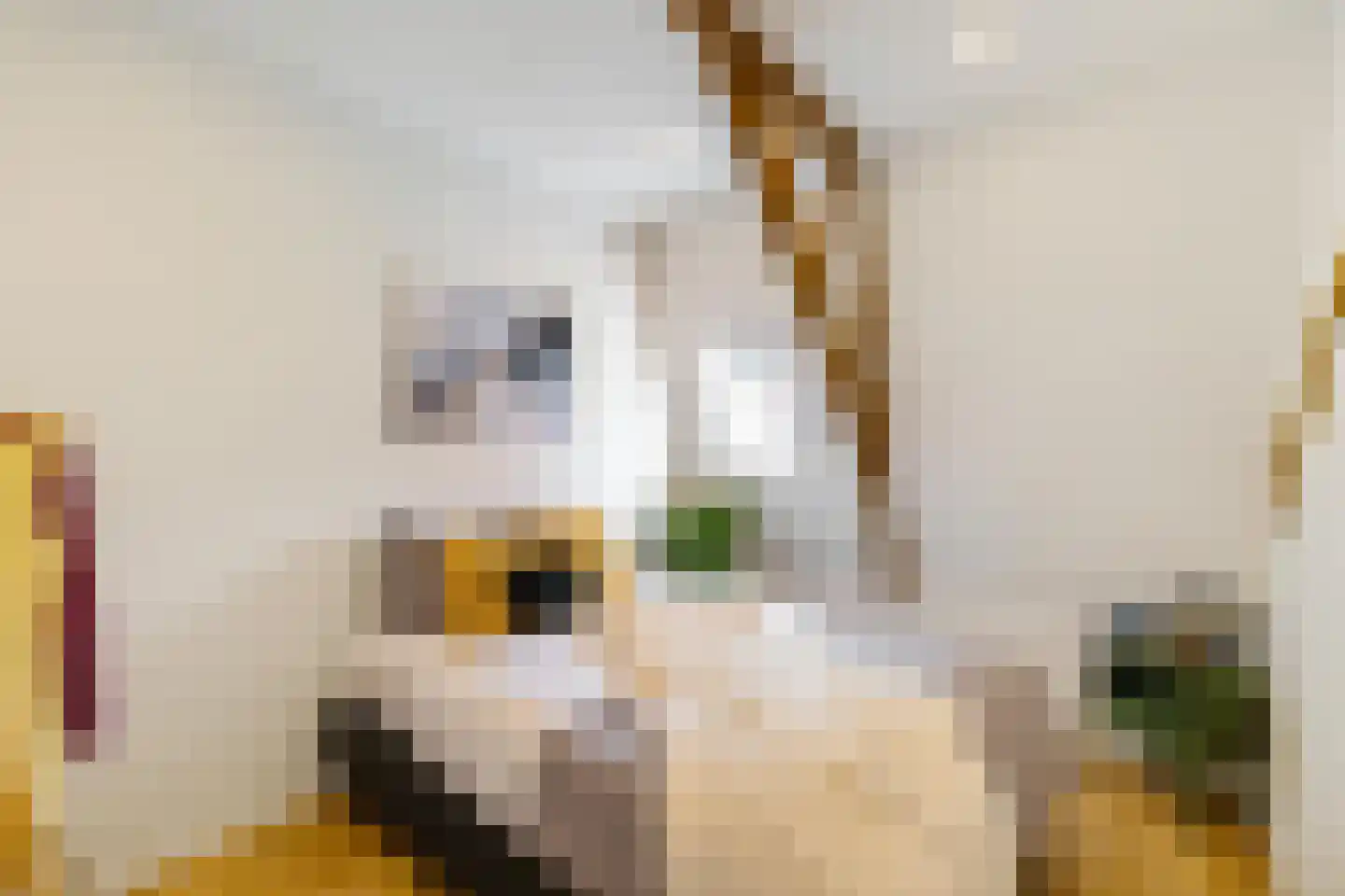 Kleine Appelstraat 22 Groningen thumbnail 18