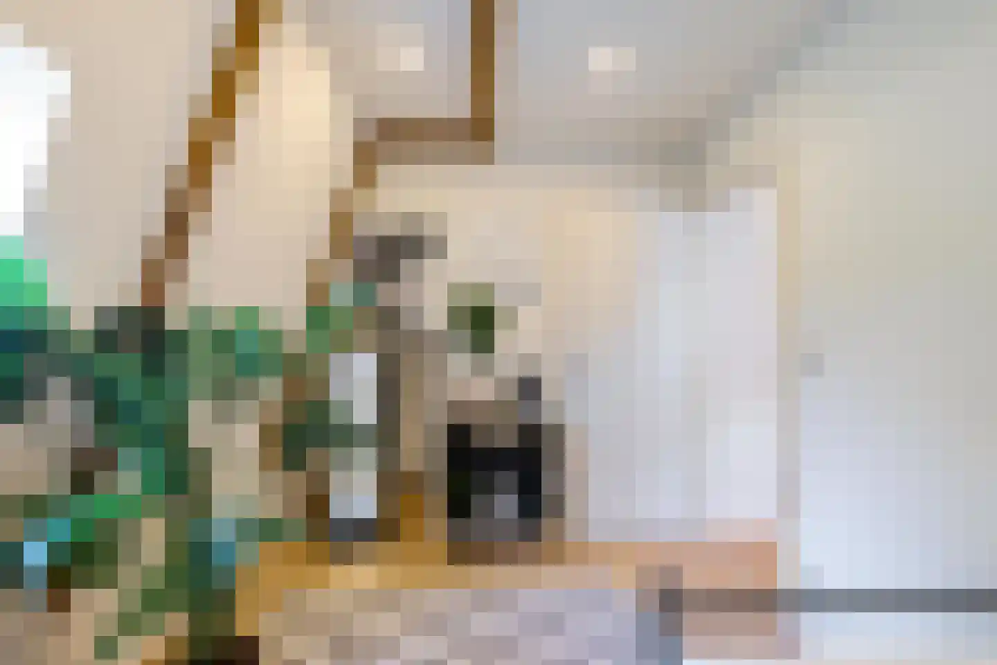 Kleine Appelstraat 22 Groningen thumbnail 20