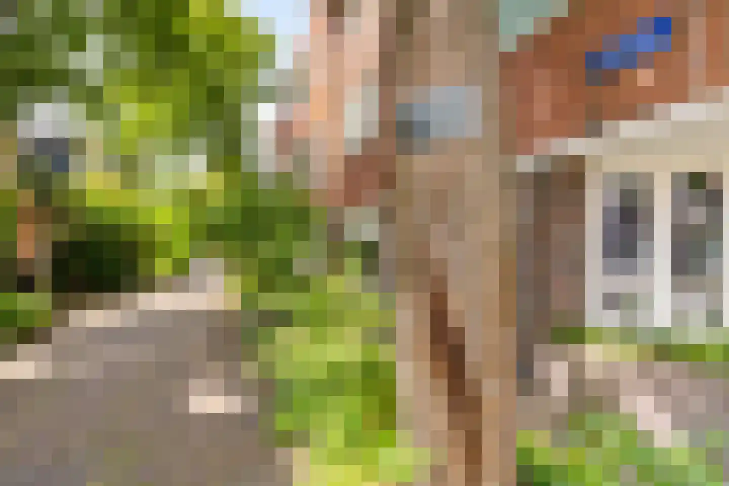 Kleine Appelstraat 22 Groningen thumbnail 22
