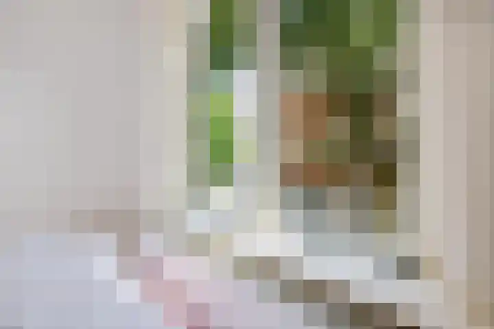 Kleine Appelstraat 3 a Groningen thumbnail 31