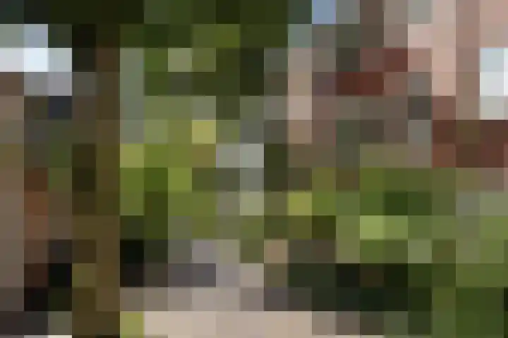 Kleine Appelstraat 3 a Groningen thumbnail 4