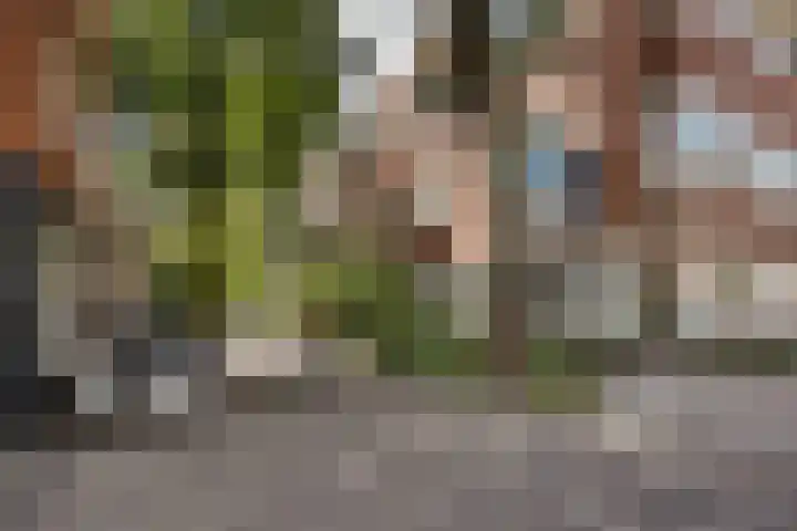 Kleine Appelstraat 3 a Groningen thumbnail 41