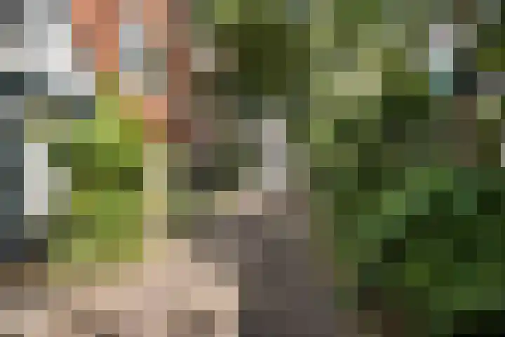Kleine Appelstraat 3 a Groningen thumbnail 44